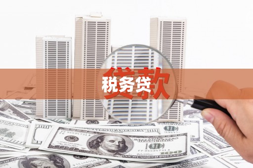 金安税务贷