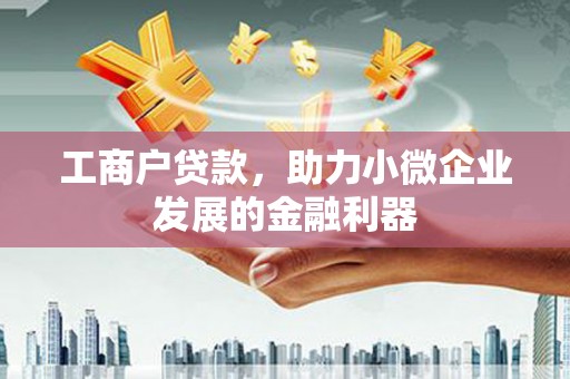 金安工商户贷款，助力小微企业发展的金融利器
