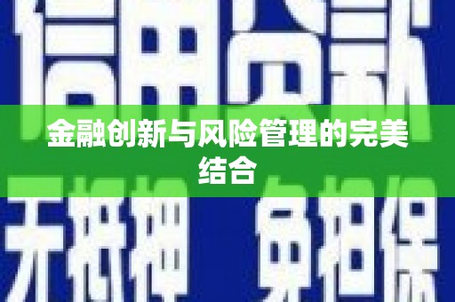 金安金融创新与风险管理的完美结合