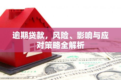 金安逾期贷款，风险、影响与应对策略全解析