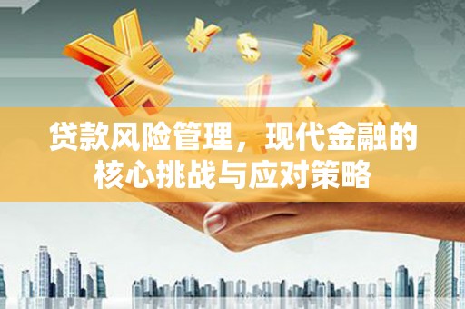 金安贷款风险管理，现代金融的核心挑战与应对策略