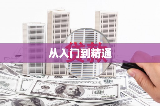 金安从入门到精通