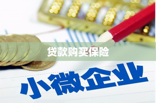金安贷款购买保险