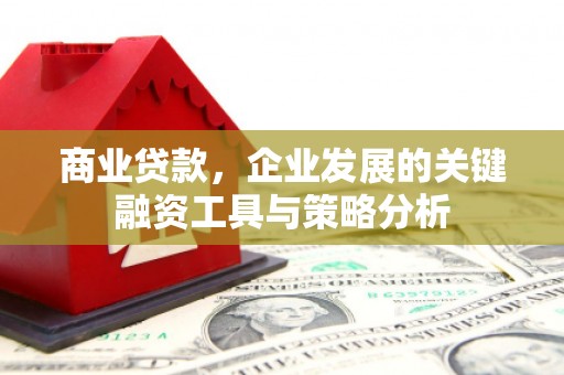 金安商业贷款，企业发展的关键融资工具与策略分析