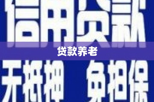 金安贷款养老