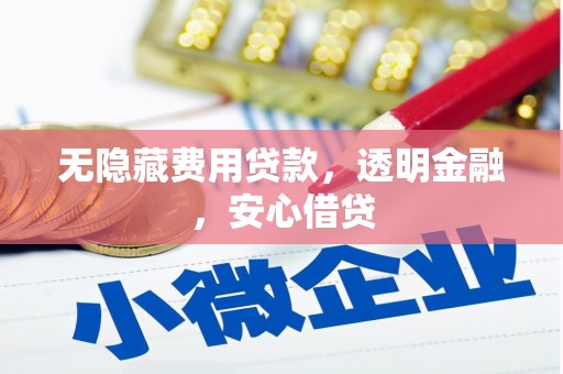 金安无隐藏费用贷款，透明金融，安心借贷
