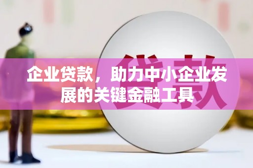 金安企业贷款，助力中小企业发展的关键金融工具