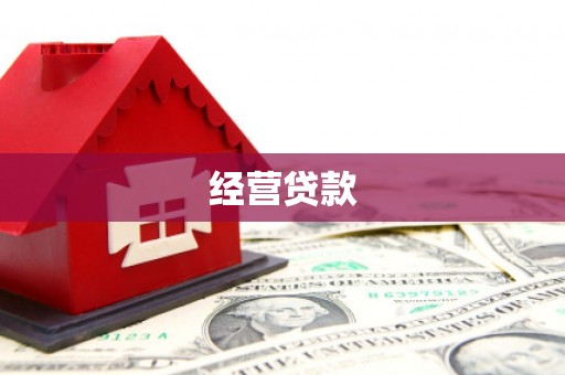 金安经营贷款