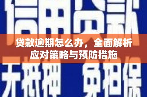 金安贷款逾期怎么办，全面解析应对策略与预防措施