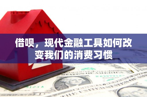 金安借呗，现代金融工具如何改变我们的消费习惯