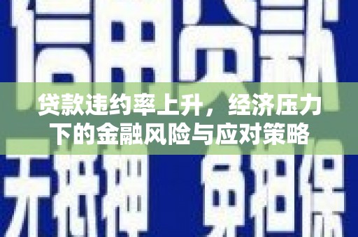 金安贷款违约率上升，经济压力下的金融风险与应对策略