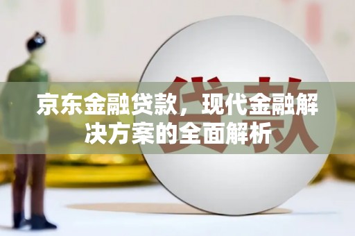 金安京东金融贷款，现代金融解决方案的全面解析