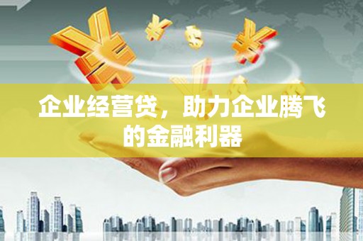 金安企业经营贷，助力企业腾飞的金融利器