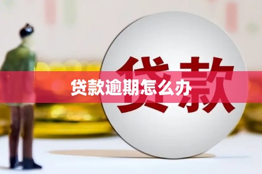 金安贷款逾期怎么办