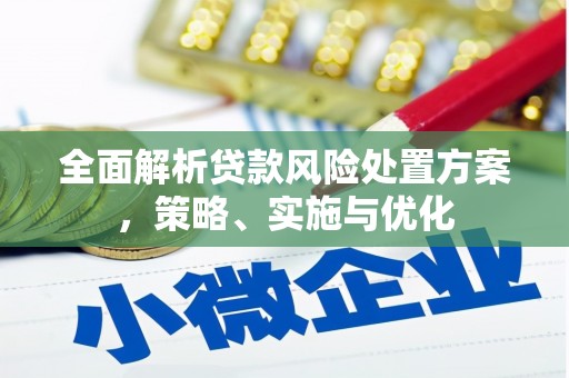 金安全面解析贷款风险处置方案，策略、实施与优化