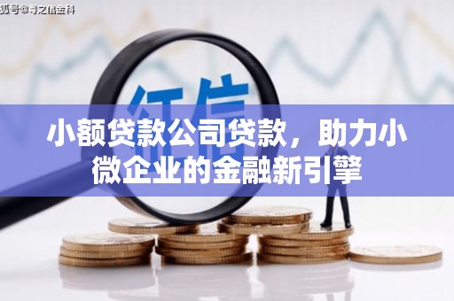 金安小额贷款公司贷款，助力小微企业的金融新引擎