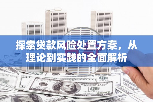 金安探索贷款风险处置方案，从理论到实践的全面解析