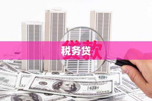 金安税务贷