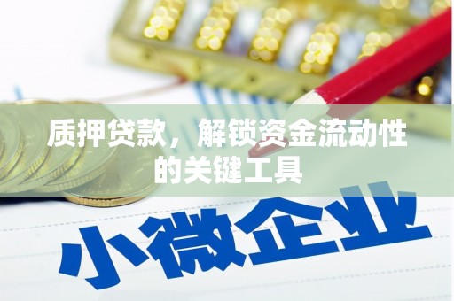 金安质押贷款，解锁资金流动性的关键工具