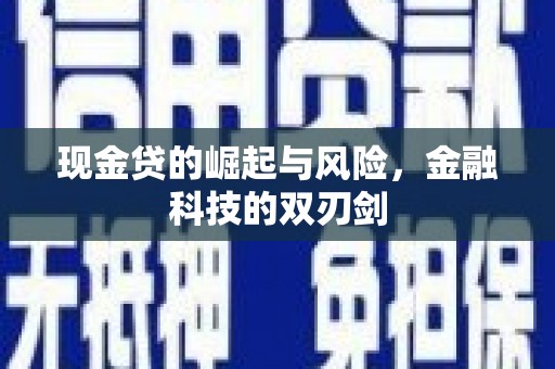 金安现金贷的崛起与风险，金融科技的双刃剑