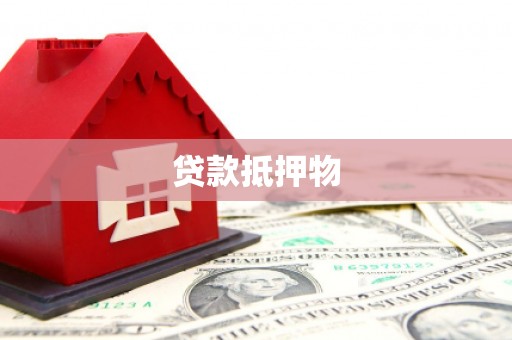 金安贷款抵押物