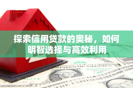 金安探索信用贷款的奥秘，如何明智选择与高效利用