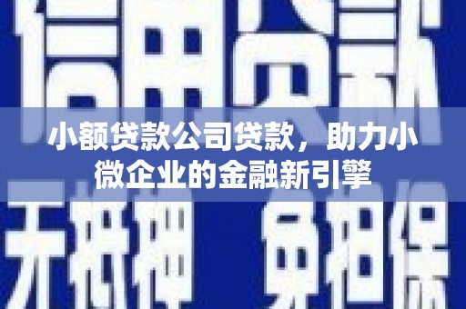 金安小额贷款公司贷款，助力小微企业的金融新引擎