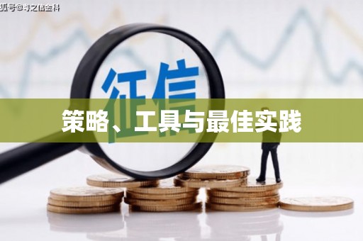 金安策略、工具与最佳实践