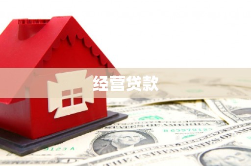 金安经营贷款