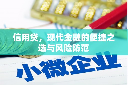 金安信用贷，现代金融的便捷之选与风险防范