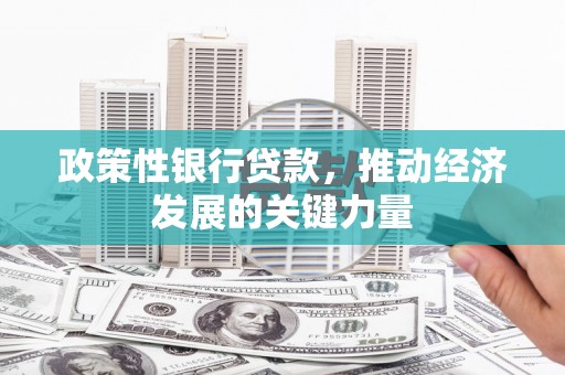 金安政策性银行贷款，推动经济发展的关键力量