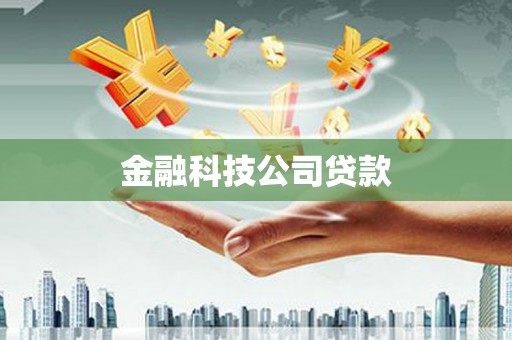 金安金融科技公司贷款