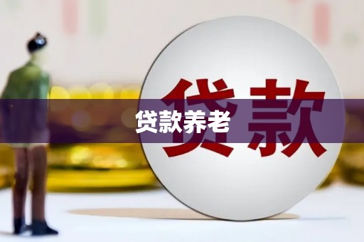 金安贷款养老