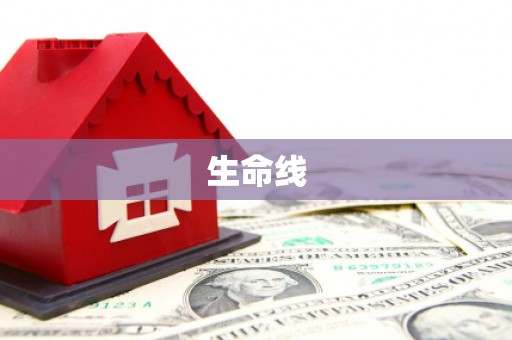 金安生命线