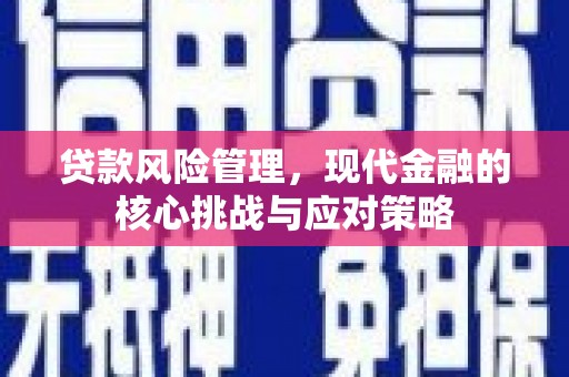 金安贷款风险管理，现代金融的核心挑战与应对策略