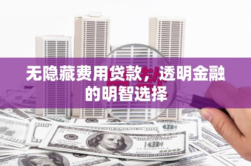 金安无隐藏费用贷款，透明金融的明智选择
