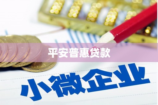 金安平安普惠贷款