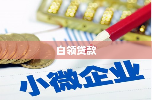 金安白领贷款