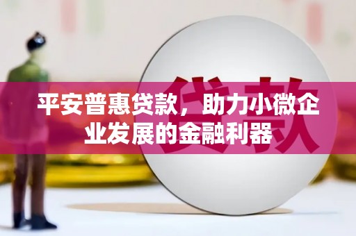 金安平安普惠贷款，助力小微企业发展的金融利器