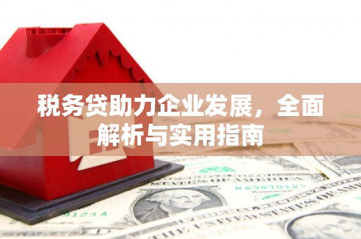 金安税务贷助力企业发展，全面解析与实用指南