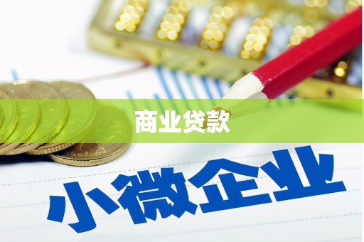 金安商业贷款