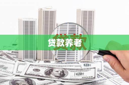 金安贷款养老