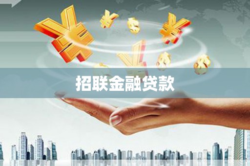 金安招联金融贷款