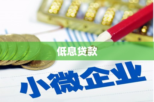 金安低息贷款