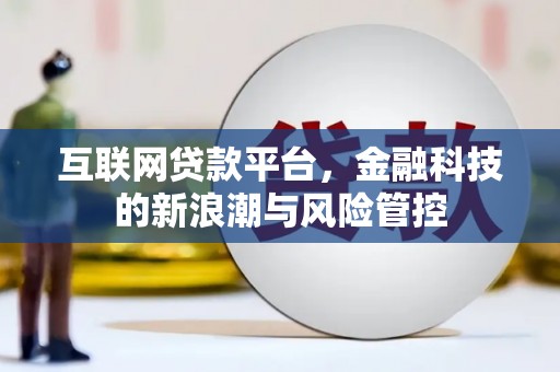 金安互联网贷款平台，金融科技的新浪潮与风险管控