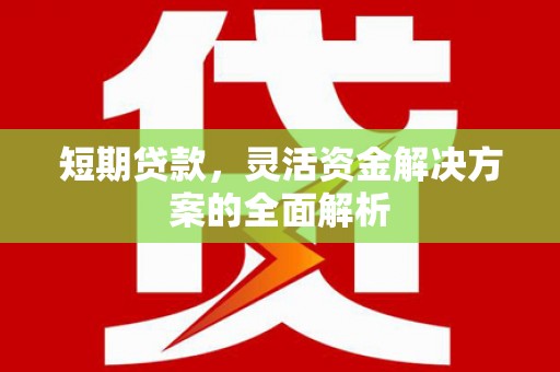 金安短期贷款，灵活资金解决方案的全面解析