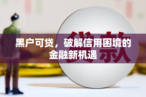 金安黑户可贷，破解信用困境的金融新机遇