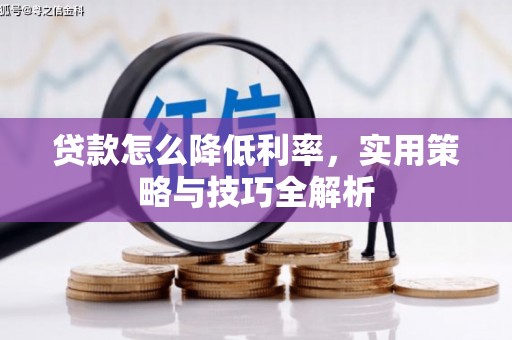 金安贷款怎么降低利率，实用策略与技巧全解析
