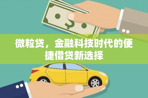 金安微粒贷，金融科技时代的便捷借贷新选择