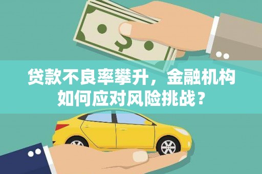 金安贷款不良率攀升，金融机构如何应对风险挑战？